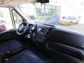 Iveco Daily 33S12 3450 Pritsche mit Planenaufbau Weiß - thumbnail 5