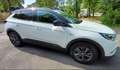 Opel Grandland X Grandland X 1.5 ecotec Design Line s Bianco - thumbnail 4