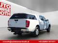 Nissan Navara 2,3 dCi Acenta ,Hardtop, 3.500kg Anhängelast Weiß - thumbnail 3