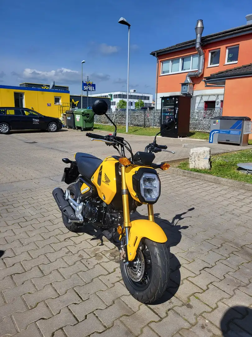 Honda MSX 125 Amarillo - 1