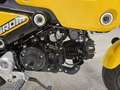 Honda MSX 125 Amarillo - thumbnail 10