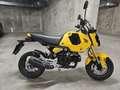 Honda MSX 125 Amarillo - thumbnail 4