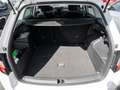 Skoda Fabia Combi 1.0 TSI Drive 125 Best Of ACC SHZ Weiß - thumbnail 15
