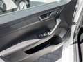 Skoda Fabia Combi 1.0 TSI Drive 125 Best Of ACC SHZ Weiß - thumbnail 13