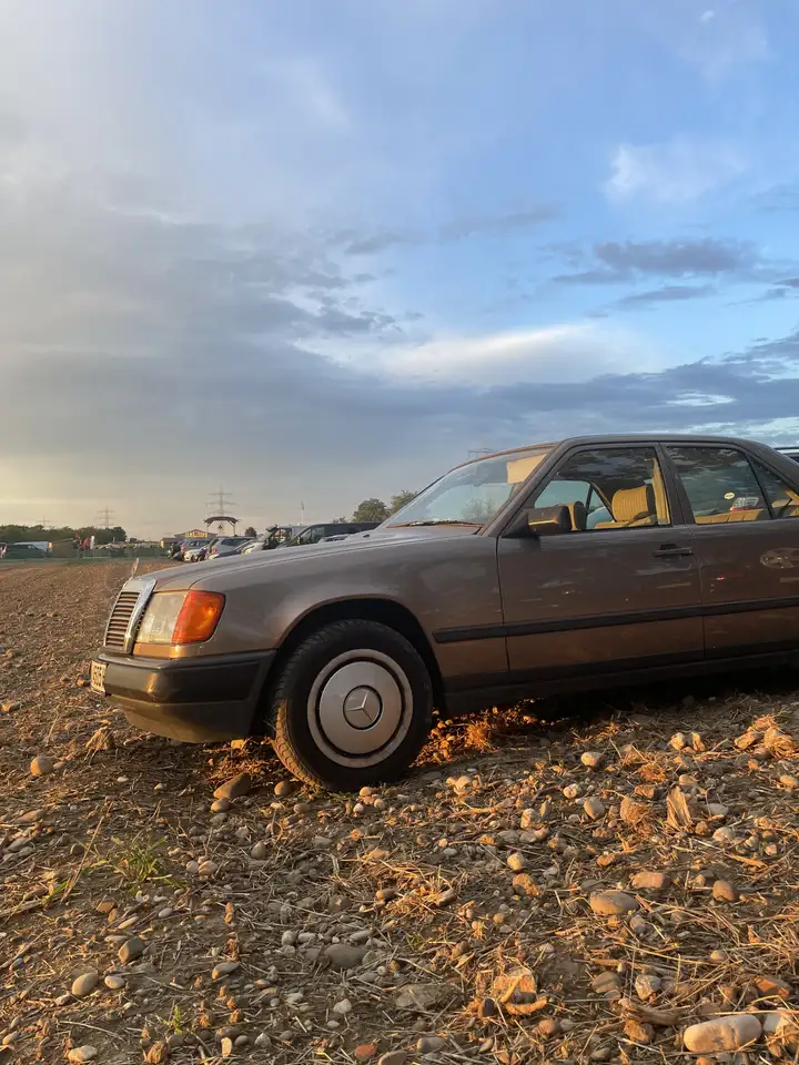 Mercedes-Benz E 230 TE, foto 6