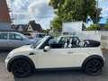 MINI Cooper Cabrio Cooper Klima Leder Weiß - thumbnail 2