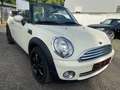 MINI Cooper Cabrio Cooper Klima Leder Weiß - thumbnail 6