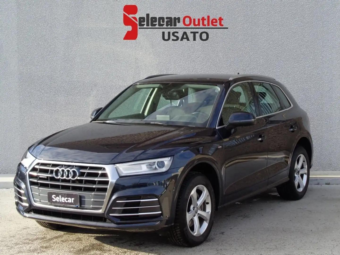 Audi Q5 2.0 TDI 190 CV quattro S tronic Business Sport Blu/Azzurro - 1