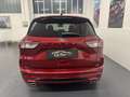 Ford Kuga Kuga III 2020 1.5 ecoboost ST-Line X 2wd 150cv Rosso - thumbnail 6