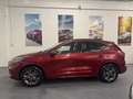 Ford Kuga Kuga III 2020 1.5 ecoboost ST-Line X 2wd 150cv Rosso - thumbnail 4