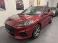 Ford Kuga Kuga III 2020 1.5 ecoboost ST-Line X 2wd 150cv Rosso - thumbnail 3