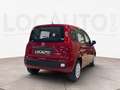 Fiat Panda Pandina 1.0 firefly hybrid Icon s&s 70cv 5p.ti - Rosso - thumbnail 4