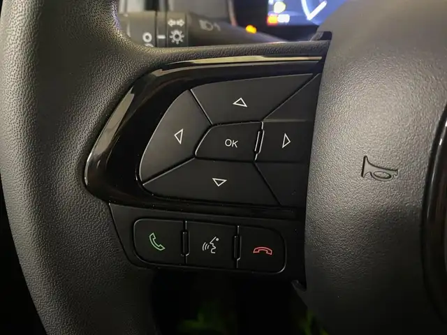 Fiat Panda view 11