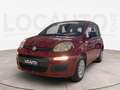 Fiat Panda Pandina 1.0 firefly hybrid Icon s&s 70cv 5p.ti - Rosso - thumbnail 1