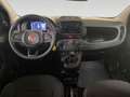Fiat Panda Pandina 1.0 firefly hybrid Icon s&s 70cv 5p.ti - Rosso - thumbnail 6
