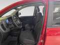 Fiat Panda Pandina 1.0 firefly hybrid Icon s&s 70cv 5p.ti - Rosso - thumbnail 7