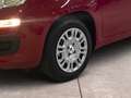 Fiat Panda Pandina 1.0 firefly hybrid Icon s&s 70cv 5p.ti - Rosso - thumbnail 15