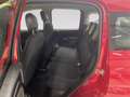 Fiat Panda Pandina 1.0 firefly hybrid Icon s&s 70cv 5p.ti - Rosso - thumbnail 8
