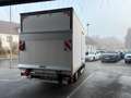 Ford Transit Trend L4 350 2.0 Ecoblue Kofferaufbau Weiß - thumbnail 3
