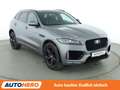 Jaguar F-Pace 25t Chequered Flag AWD Aut.*NAVI*LED*ACC*CAM*PDC* Gris - thumbnail 8
