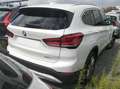 BMW X1 sDrive 16d Business Blanc - thumbnail 3