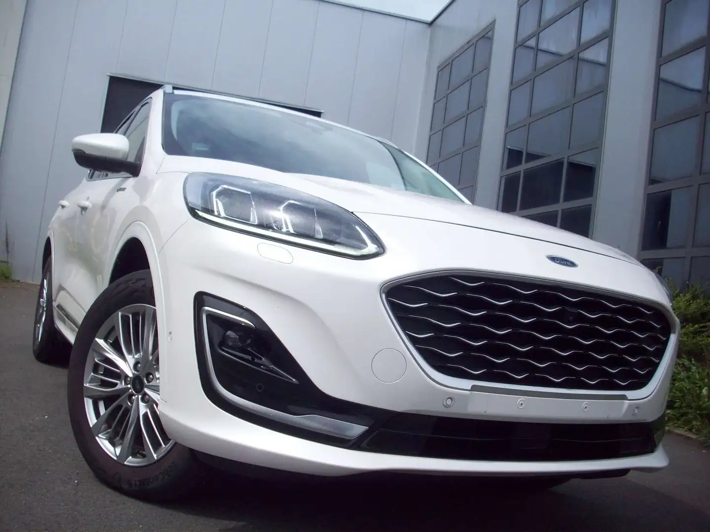 Ford Kuga 2.5 EcoBoost FWD FHEV Vignale (EU6d) Blanco - 1