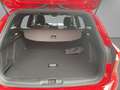 Ford Focus Turnier 1.0 EcoBoost Hybrid ST-LINE Rot - thumbnail 10