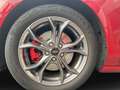 Ford Focus Turnier 1.0 EcoBoost Hybrid ST-LINE Rot - thumbnail 9