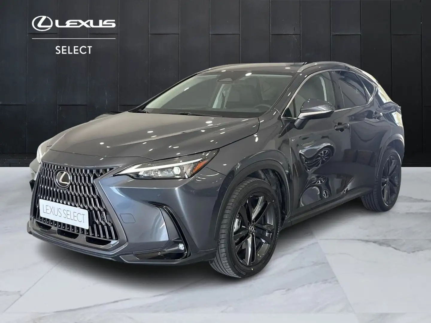 Lexus NX 300 Hybrid 4WD Premium + Grigio - 1