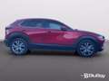 Mazda CX-30 2.0L e-Skyactiv-G M-Hybrid 150 CV 2WD Evolve Rosso - thumbnail 4