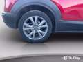 Mazda CX-30 2.0L e-Skyactiv-G M-Hybrid 150 CV 2WD Evolve Rosso - thumbnail 15