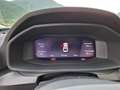 CUPRA Leon Leon SP Kombi TRIBE 2.0 TDI DSG 150 Weiß - thumbnail 7