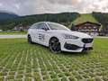 CUPRA Leon Leon SP Kombi TRIBE 2.0 TDI DSG 150 Weiß - thumbnail 1