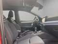 SEAT Ibiza FR 1.0 TSI 116 PS 6-Gang *sofort verfügbar* Rot - thumbnail 16