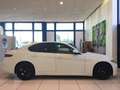 Alfa Romeo Giulia MY19 2.2 T-D 160CV AT8 Super USATO GARANTITO Bianco - thumbnail 2