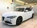 Alfa Romeo Giulia MY19 2.2 T-D 160CV AT8 Super USATO GARANTITO Bianco - thumbnail 3