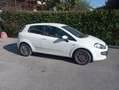 Fiat Punto Evo 3p 1.2 Dynamic s&s - thumbnail 1