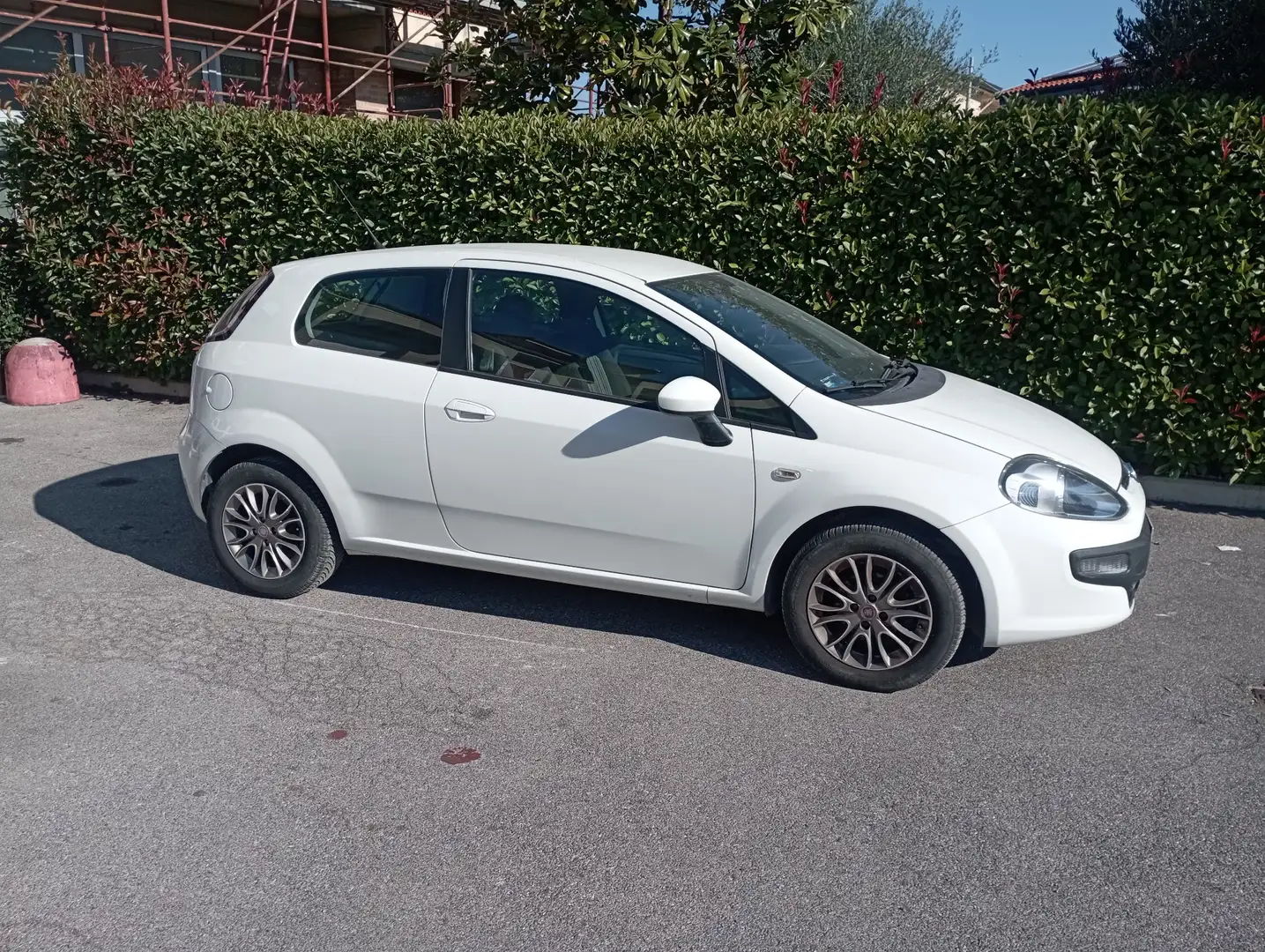 Fiat Punto Evo 3p 1.2 Dynamic s&s - 1