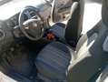 Fiat Punto Evo 3p 1.2 Dynamic s&s - thumbnail 5