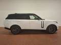 Land Rover Range Rover Range Rover 3.0d i6 mhev HSE awd 249cv auto Bianco - thumbnail 6
