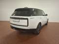 Land Rover Range Rover Range Rover 3.0d i6 mhev HSE awd 249cv auto Bianco - thumbnail 2