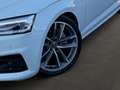 Audi A5 40 TDI sport S-Tronic. | Panorama | S-Line | Weiß - thumbnail 8
