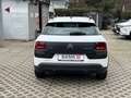 Citroen C4 Cactus 1,2i*Kamera*Navigation*Klimaauto. Weiß - thumbnail 5