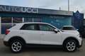 Audi Q2 30 TDI S tronic Business 115 CV Automatica Weiß - thumbnail 19
