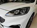 Ford Kuga 2.0 ECOBLUE ST-Line X AWD 190 CV AUTOM Bianco - thumbnail 7