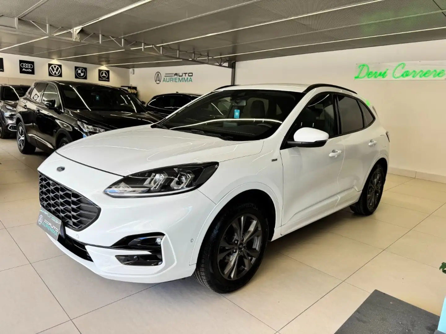 Ford Kuga 2.0 ECOBLUE ST-Line X AWD 190 CV AUTOM Bianco - 1