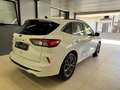 Ford Kuga 2.0 ECOBLUE ST-Line X AWD 190 CV AUTOM Bianco - thumbnail 6