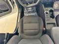Ford Kuga 2.0 ECOBLUE ST-Line X AWD 190 CV AUTOM Bianco - thumbnail 12