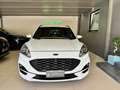 Ford Kuga 2.0 ECOBLUE ST-Line X AWD 190 CV AUTOM Bianco - thumbnail 2