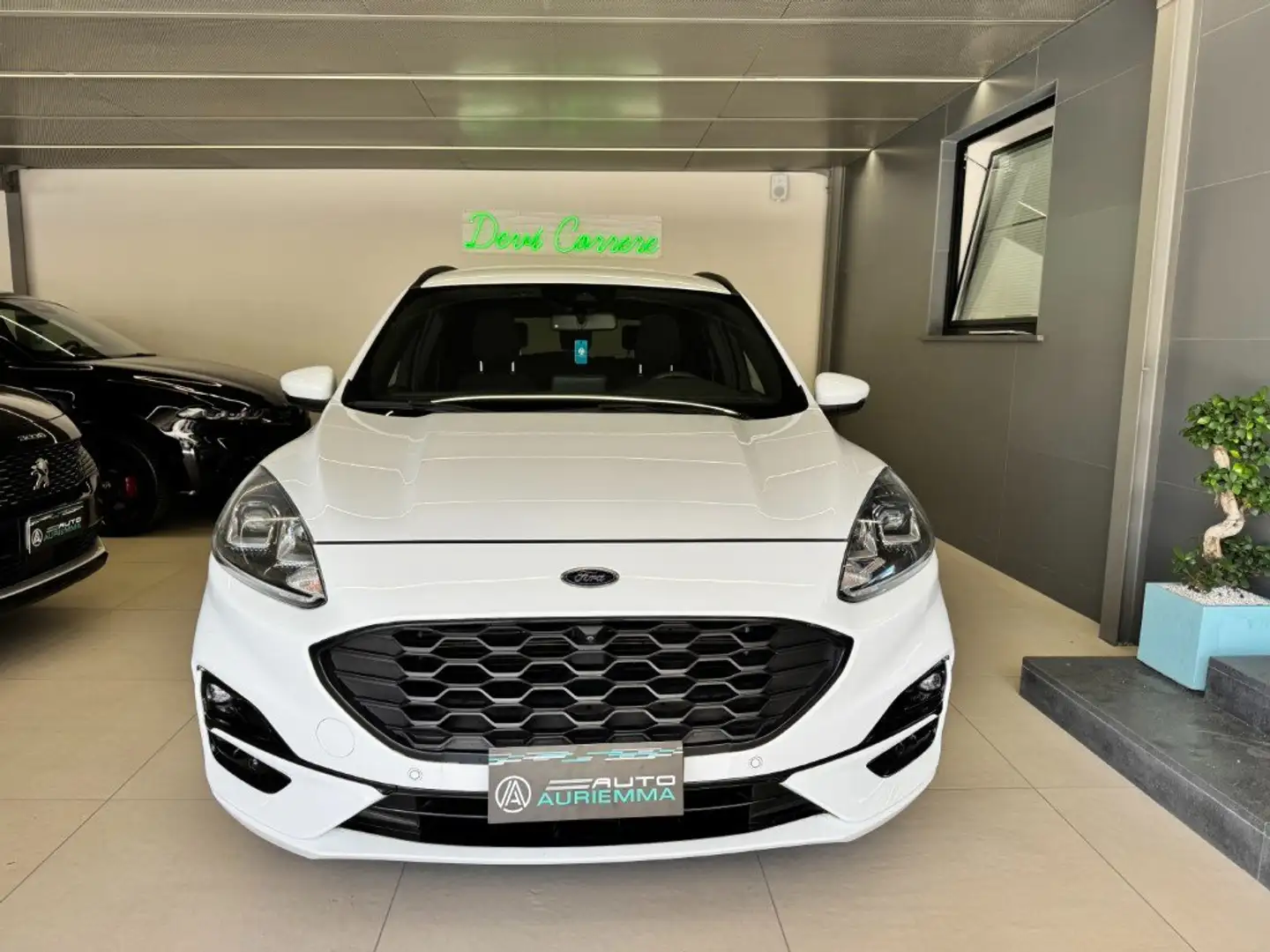 Ford Kuga 2.0 ECOBLUE ST-Line X AWD 190 CV AUTOM Bianco - 2